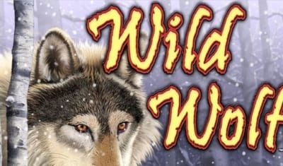 Wild Wolf Slot Machine Review