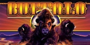 Buffalo Slot Free