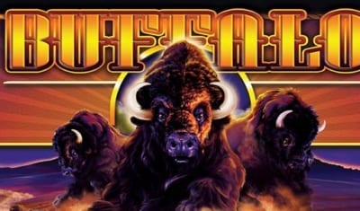 Buffalo Slot Free